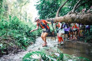 BIB: 
                            <button type="button" onclick="openModal(25467867)" class="btn btn-primary btn-sm float-right btn-popup" data-toggle="modal" data-target=".modal-high-quality">
                        <i class="fas fa-shopping-cart"></i> Add to Cart
                    </button>
                                            <button type="button" onclick="isThisMe(25467867, true)" class="btn btn-success btn-sm float-right btn-popup btn-isme hidden" data-toggle="tooltip" data-placement="bottom" title="นี่คือรูปของคุณใช่ไหม คลิกที่นี่เพื่อเอาเข้าอัลบั้ม">
                        <i class="fas fa-plus"></i> Add to album
                    </button>
                    <button type="button" onclick="isThisMe(25467867, false)" class="btn btn-warning btn-sm float-right btn-popup btn-isnotme hidden">
                        <i class="fas fa-ban"></i> Remove from album
                    </button>